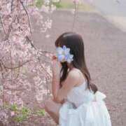 ヒメ日記 2026/04/21 18:01 投稿 雛子-hinako- 品川エッセンス