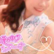 ヒメ日記 2026/04/08 12:10 投稿 るい 台北(たいぺい）