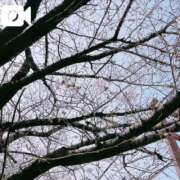 ヒメ日記 2026/03/28 16:07 投稿 マオ リッチドールフェミニン