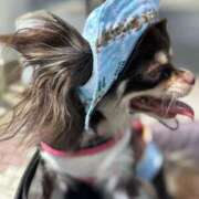 ヒメ日記 2026/03/14 15:49 投稿 らん ちゃんこ大阪