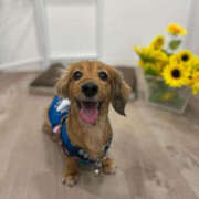 ヒメ日記 2026/03/20 16:13 投稿 らん ちゃんこ大阪