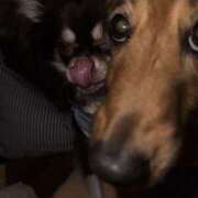 ヒメ日記 2026/03/21 15:43 投稿 らん ちゃんこ大阪