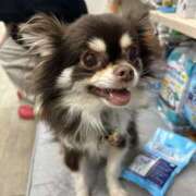 ヒメ日記 2026/03/27 16:35 投稿 らん ちゃんこ大阪