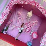 ヒメ日記 2026/03/09 17:53 投稿 ☆奇跡のまどか☆ Kiseki