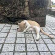 ヒメ日記 2026/03/13 14:03 投稿 せな ドMバスターズ岡崎・安城・豊田店