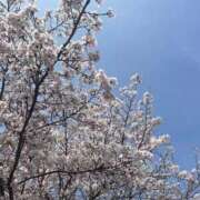 せな お久しぶりです🌸 ドMバスターズ岡崎・安城・豊田店