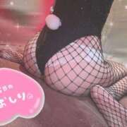 ヒメ日記 2026/03/13 11:38 投稿 モモカ【可愛い系代表♡】 バニーコレクション 中洲店