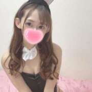 ヒメ日記 2026/04/10 01:25 投稿 モモカ【可愛い系代表♡】 バニーコレクション 中洲店