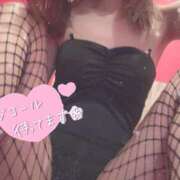 ヒメ日記 2026/04/11 13:50 投稿 モモカ【可愛い系代表♡】 バニーコレクション 中洲店