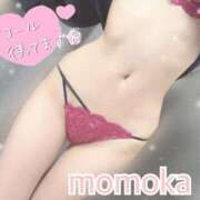 ヒメ日記 2026/04/13 10:42 投稿 モモカ【可愛い系代表♡】 バニーコレクション 中洲店