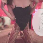 ヒメ日記 2026/04/14 21:18 投稿 モモカ【可愛い系代表♡】 バニーコレクション 中洲店