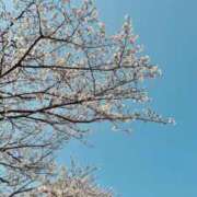 あまみん あまみん（エコ難波店） スピードエコ難波店