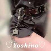 ヒメ日記 2026/03/09 16:20 投稿 よしの リッチドールフェミニン