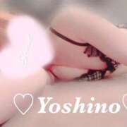 ヒメ日記 2026/03/14 13:27 投稿 よしの リッチドールフェミニン