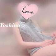 ヒメ日記 2026/03/19 18:37 投稿 よしの リッチドールフェミニン