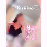 ヒメ日記 2026/03/22 20:47 投稿 よしの リッチドールフェミニン