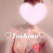 ヒメ日記 2026/03/25 09:17 投稿 よしの リッチドールフェミニン