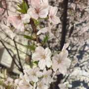 ヒメ日記 2026/03/31 21:50 投稿 福留みつほ 渋谷とある風俗店♡やりすぎコレクション