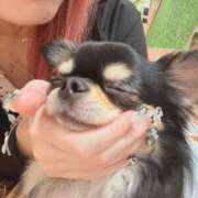 ヒメ日記 2026/04/19 08:00 投稿 福留みつほ 渋谷とある風俗店♡やりすぎコレクション