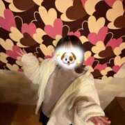 ヒメ日記 2026/03/16 08:14 投稿 せいら 君とふわふわプリンセスin川越