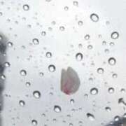 ヒメ日記 2026/03/26 08:52 投稿 えな 出会い系人妻ネットワーク さいたま～大宮編