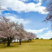 ヒメ日記 2026/04/03 12:42 投稿 えな 出会い系人妻ネットワーク さいたま～大宮編