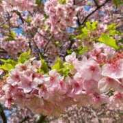 ヒメ日記 2026/04/09 10:22 投稿 えな 出会い系人妻ネットワーク さいたま～大宮編