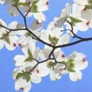 ヒメ日記 2026/04/15 13:52 投稿 えな 出会い系人妻ネットワーク さいたま～大宮編