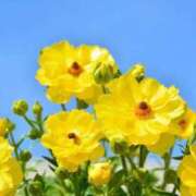 ヒメ日記 2026/03/16 13:53 投稿 喜彩(きいろ) 五反田痴女性感フェチ倶楽部