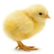 ヒメ日記 2026/03/17 02:53 投稿 喜彩(きいろ) 五反田痴女性感フェチ倶楽部