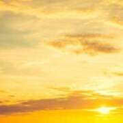 ヒメ日記 2026/03/27 08:14 投稿 喜彩(きいろ) 五反田痴女性感フェチ倶楽部