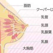 ヒメ日記 2026/03/30 16:05 投稿 喜彩(きいろ) 五反田痴女性感フェチ倶楽部
