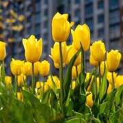 ヒメ日記 2026/03/31 07:13 投稿 喜彩(きいろ) 五反田痴女性感フェチ倶楽部