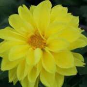 ヒメ日記 2026/04/03 11:33 投稿 喜彩(きいろ) 五反田痴女性感フェチ倶楽部