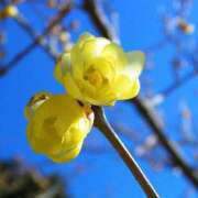 ヒメ日記 2026/04/07 14:53 投稿 喜彩(きいろ) 五反田痴女性感フェチ倶楽部