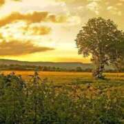 ヒメ日記 2026/04/10 08:05 投稿 喜彩(きいろ) 五反田痴女性感フェチ倶楽部