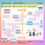 ヒメ日記 2026/04/13 15:33 投稿 喜彩(きいろ) 五反田痴女性感フェチ倶楽部