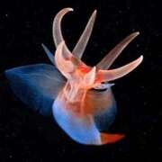 ヒメ日記 2026/04/13 16:33 投稿 喜彩(きいろ) 五反田痴女性感フェチ倶楽部