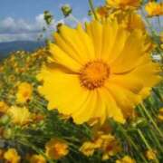 ヒメ日記 2026/04/14 17:43 投稿 喜彩(きいろ) 五反田痴女性感フェチ倶楽部