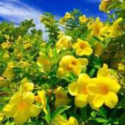 ヒメ日記 2026/04/15 14:23 投稿 喜彩(きいろ) 五反田痴女性感フェチ倶楽部