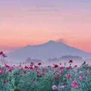 ヒメ日記 2026/04/23 08:13 投稿 喜彩(きいろ) 五反田痴女性感フェチ倶楽部