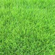 ヒメ日記 2026/05/02 14:15 投稿 喜彩(きいろ) 五反田痴女性感フェチ倶楽部