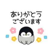 ヒメ日記 2026/04/06 20:33 投稿 かえで ドMバスターズ 京都店
