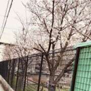 ヒメ日記 2026/04/01 23:34 投稿 まなみ CLUB DEEP