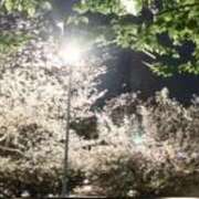 ヒメ日記 2026/04/14 23:44 投稿 まなみ CLUB DEEP