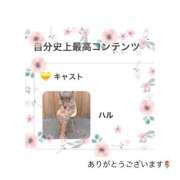 ヒメ日記 2026/05/11 22:38 投稿 ハル OPELA（オペラ）