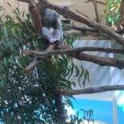 ヒメ日記 2026/04/12 06:13 投稿 ひな 熟女の風俗最終章 八王子店