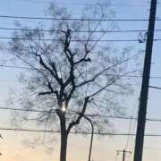 ヒメ日記 2026/04/07 07:25 投稿 ひな 熟女の風俗最終章 立川店