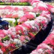 ヒメ日記 2026/03/24 12:35 投稿 じゅん 奥鉄オクテツ大阪