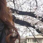 ヒメ日記 2026/03/29 09:10 投稿 じゅん 奥鉄オクテツ大阪